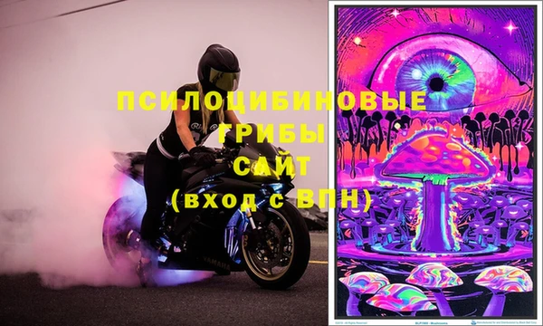 PSILOCYBIN Ленинск-Кузнецкий